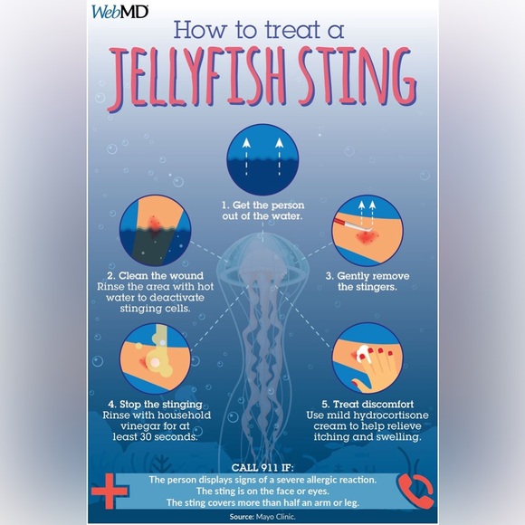 $4 LUMINOUS TURTLE BEACH NECKLACE: NEW. $4 IF BUNDLED - Picture 14 of 16